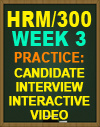 HRM/300 WK3 Team Interview Simulation